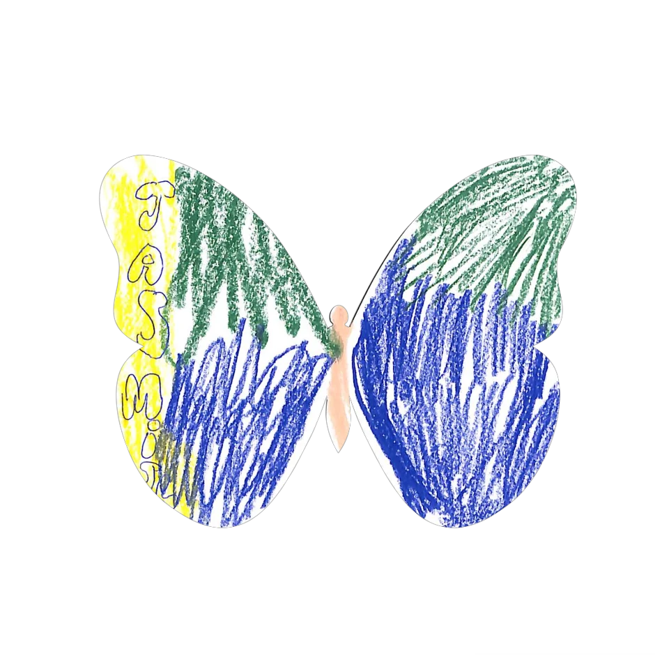 Original Butterfly Image
