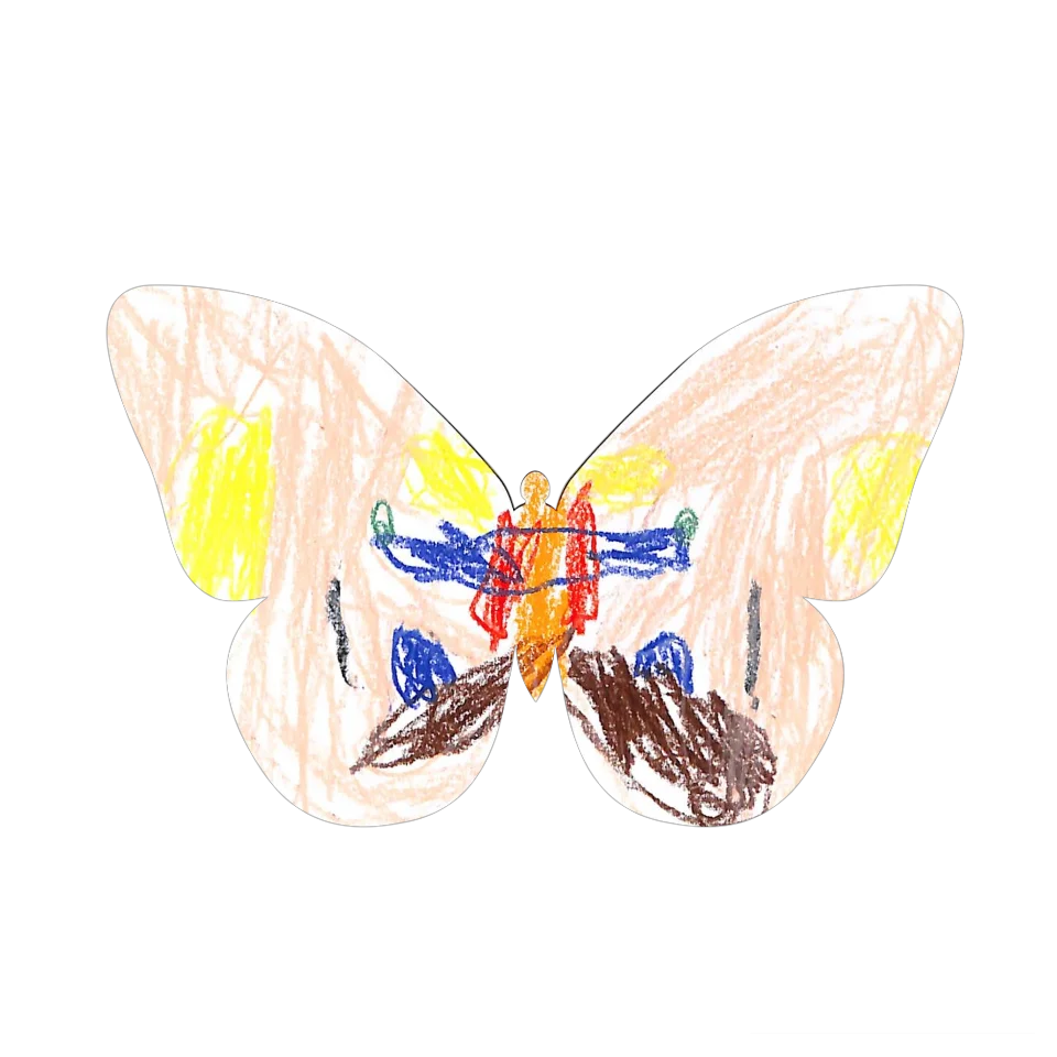 Original Butterfly Image