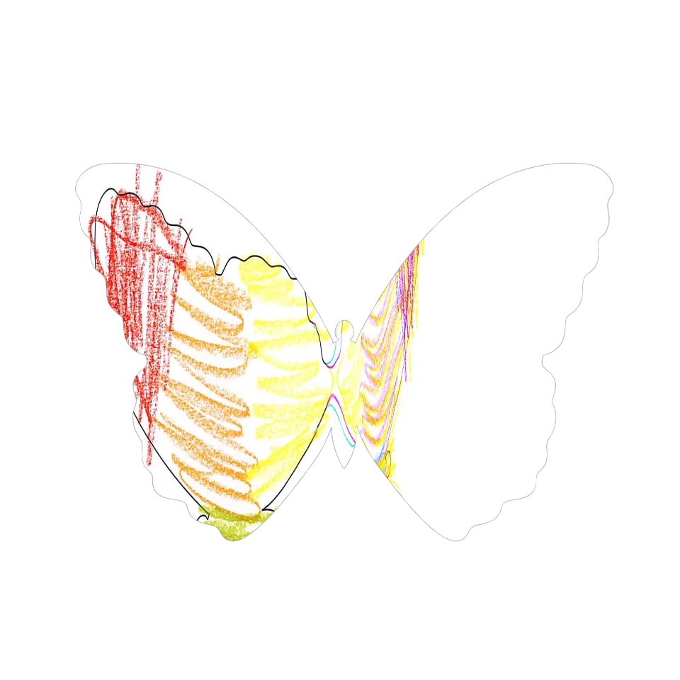 Original Butterfly Image