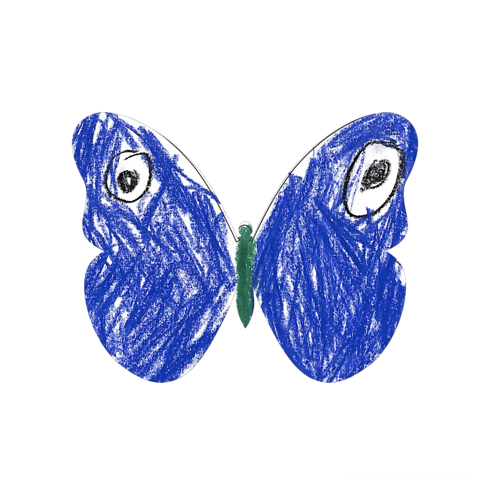 Original Butterfly Image