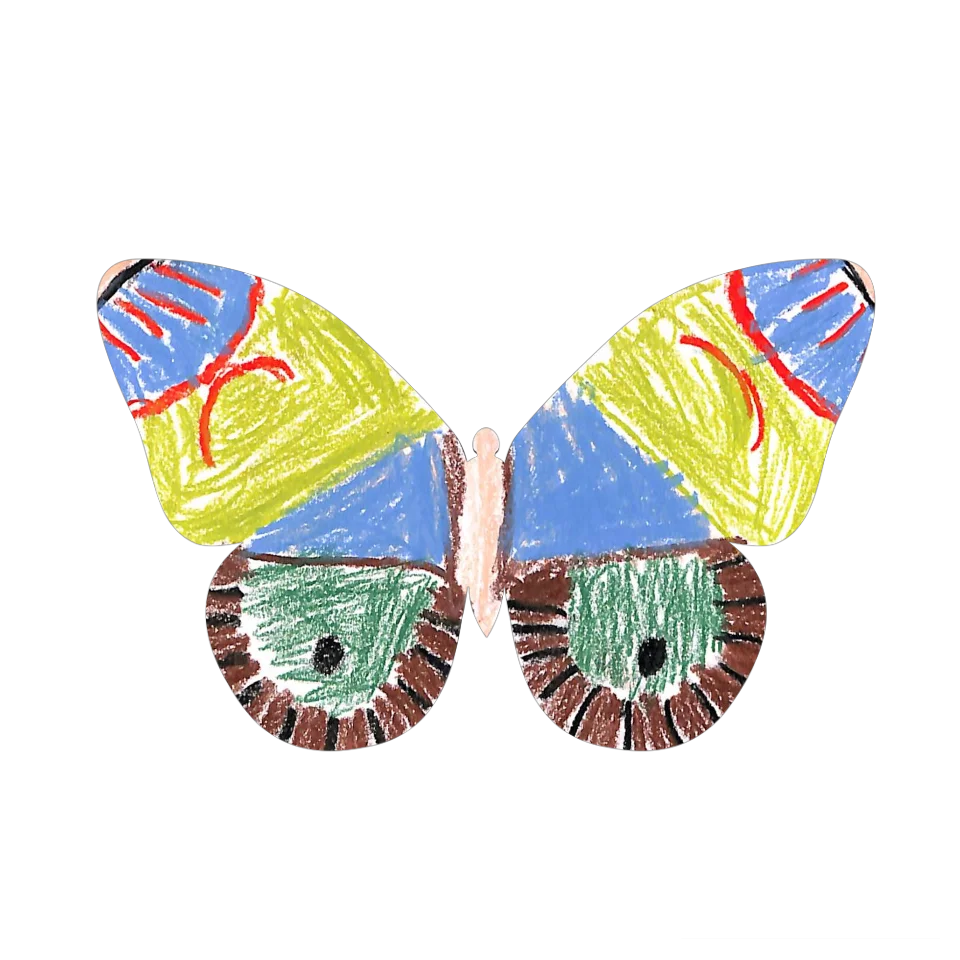 Original Butterfly Image