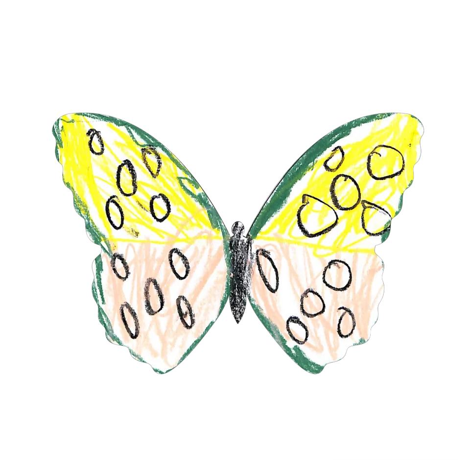 Original Butterfly Image