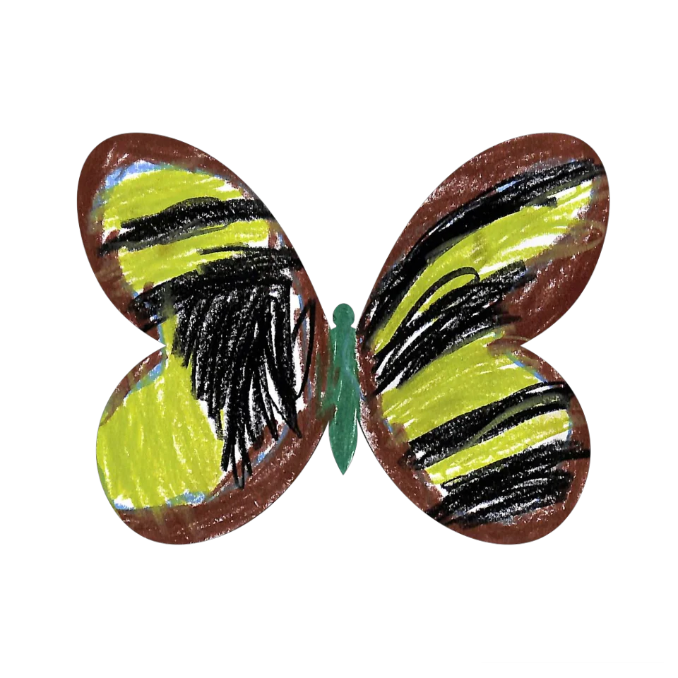 Original Butterfly Image