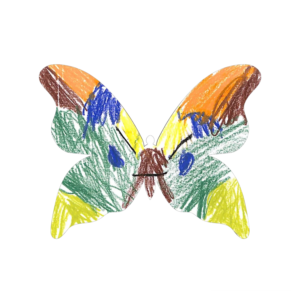 Original Butterfly Image