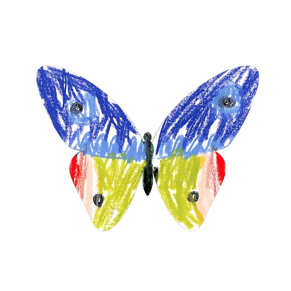 Original Butterfly Image