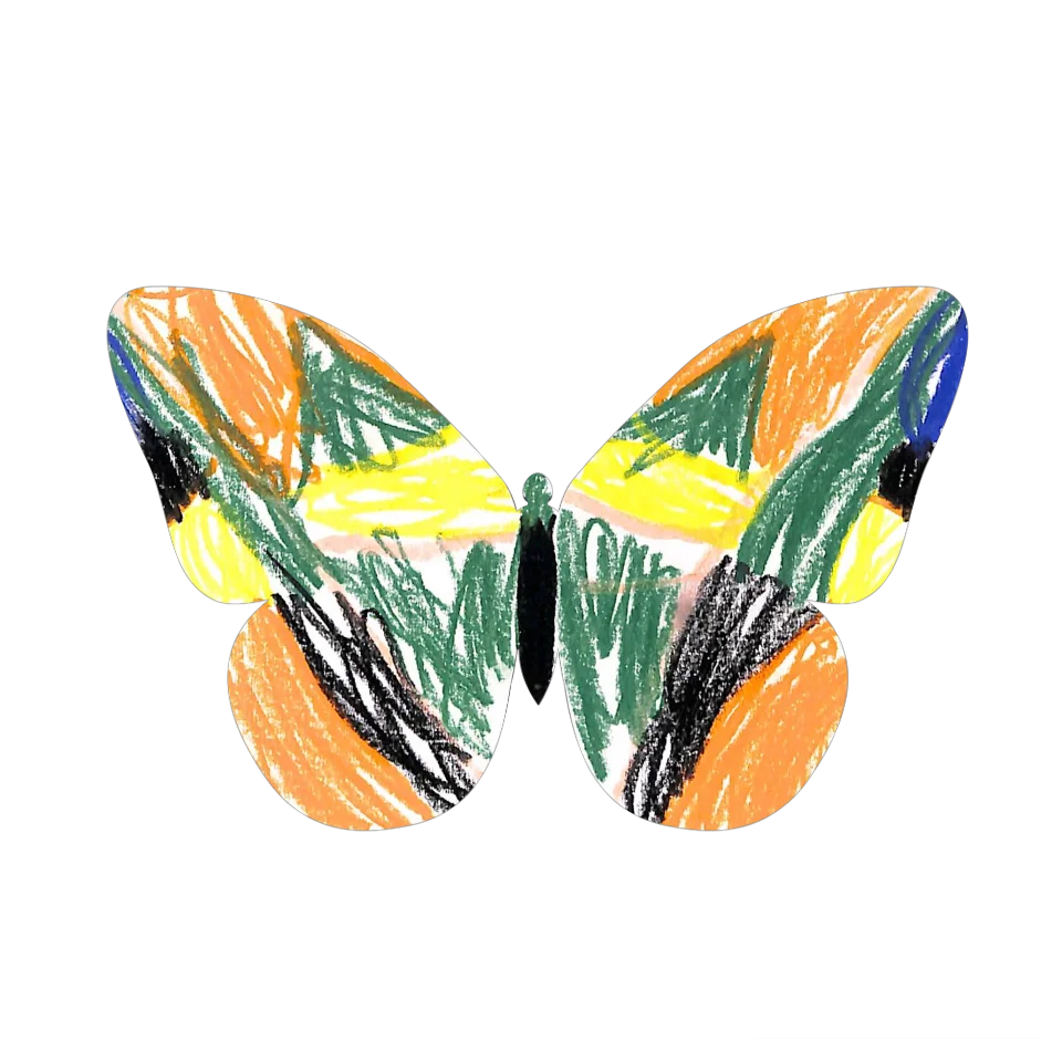 Original Butterfly Image