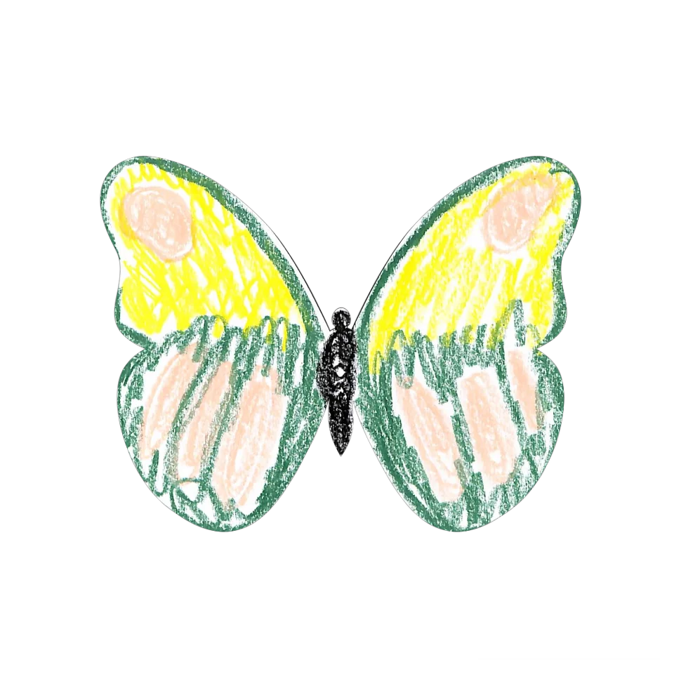 Original Butterfly Image