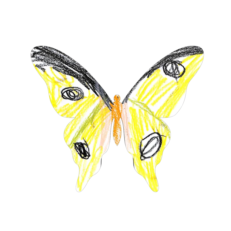 Original Butterfly Image