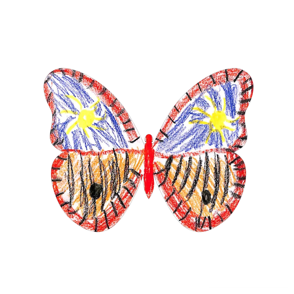 Original Butterfly Image