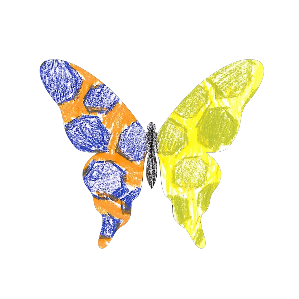 Original Butterfly Image