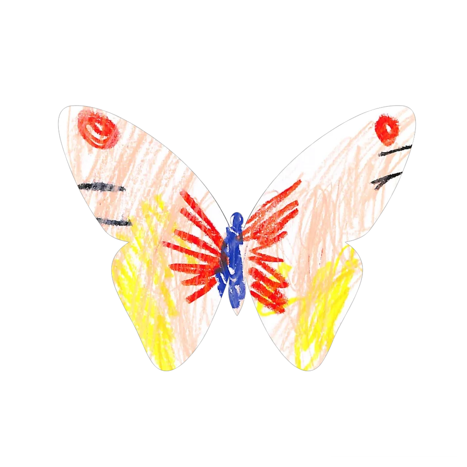 Original Butterfly Image