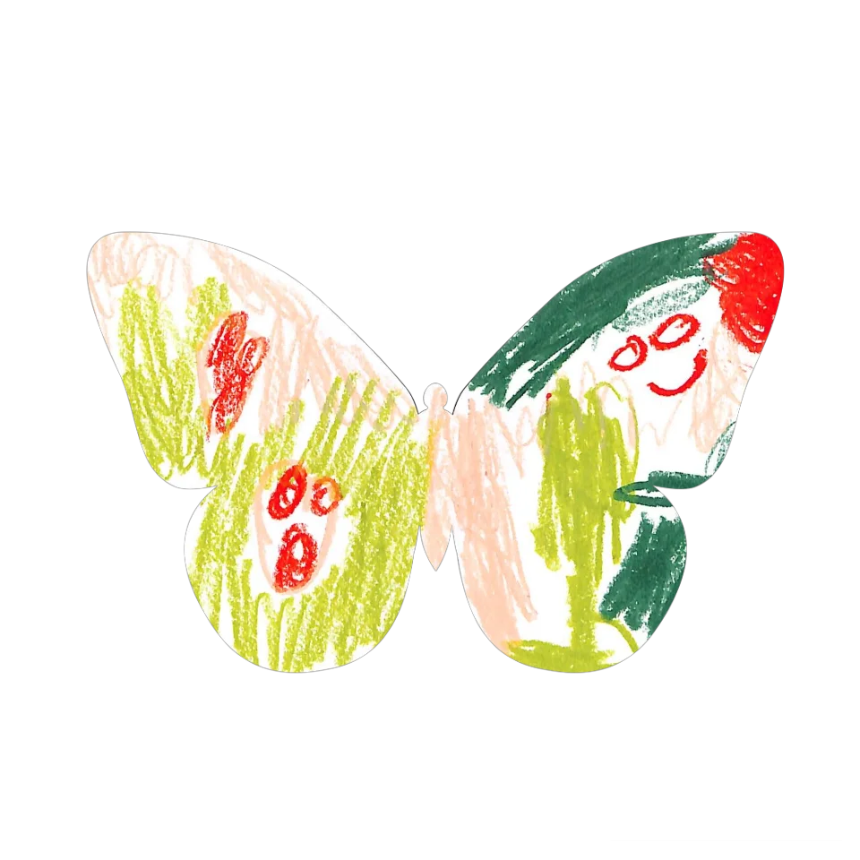Original Butterfly Image
