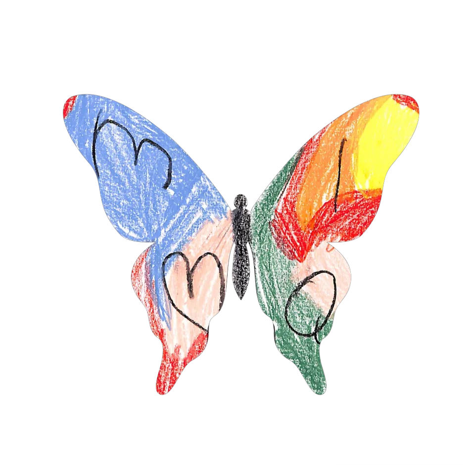 Original Butterfly Image