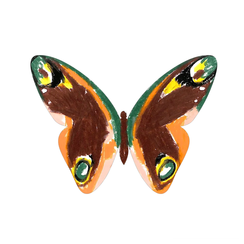 Original Butterfly Image