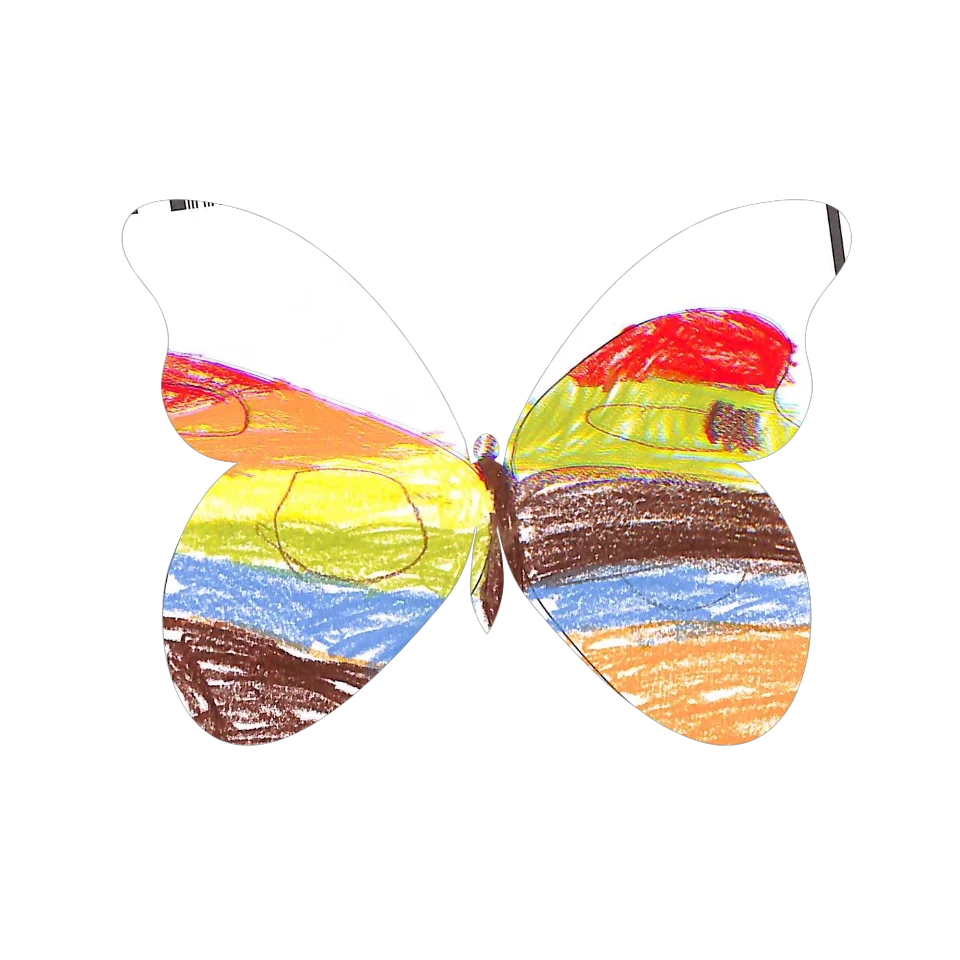 Original Butterfly Image