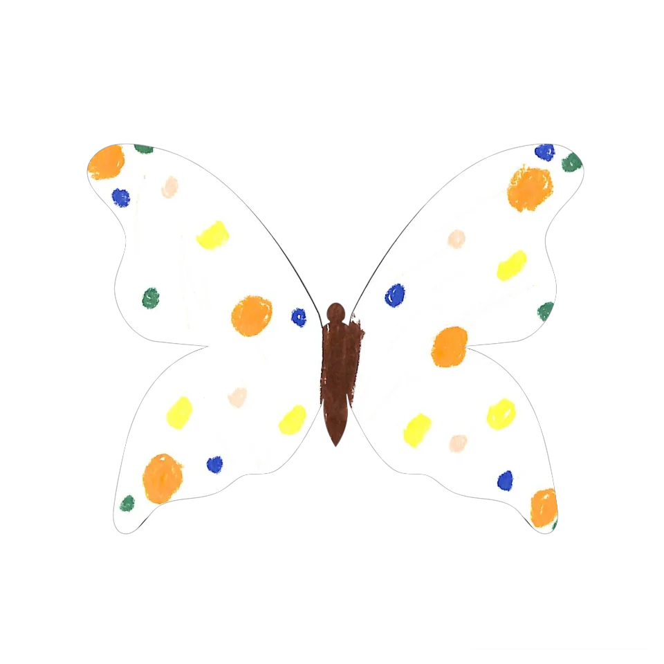 Original Butterfly Image