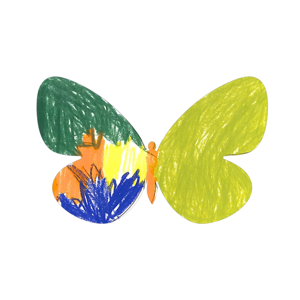 Original Butterfly Image