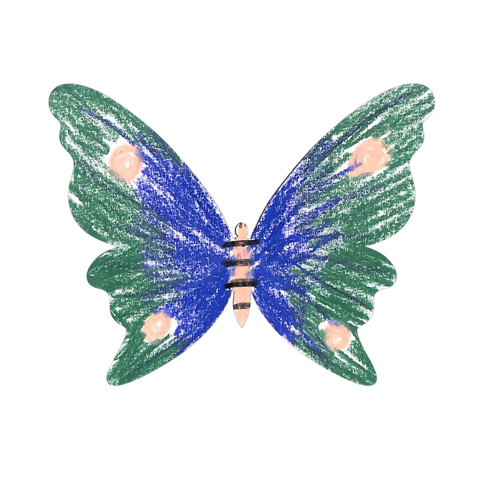 Original Butterfly Image