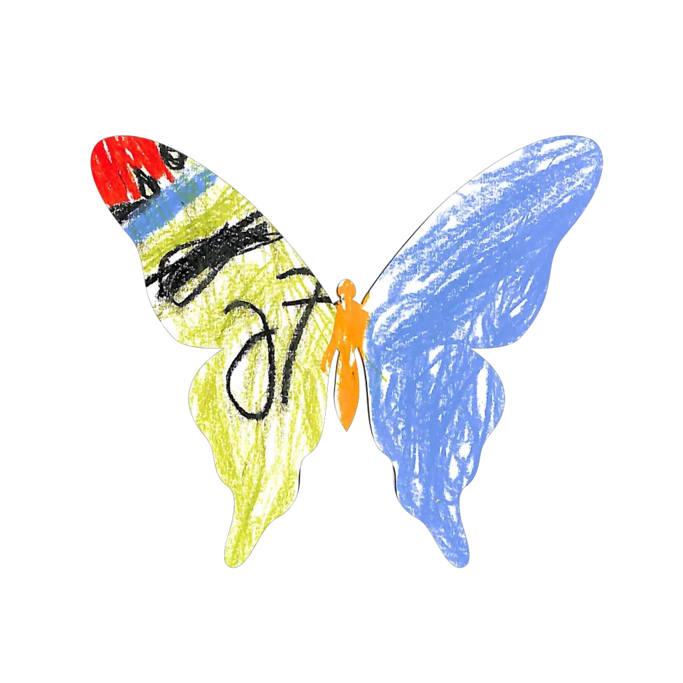 Original Butterfly Image