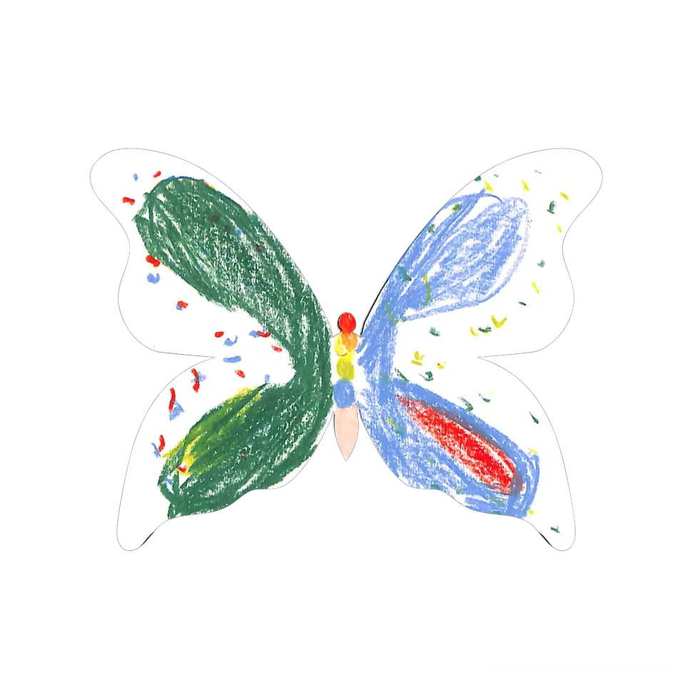 Original Butterfly Image