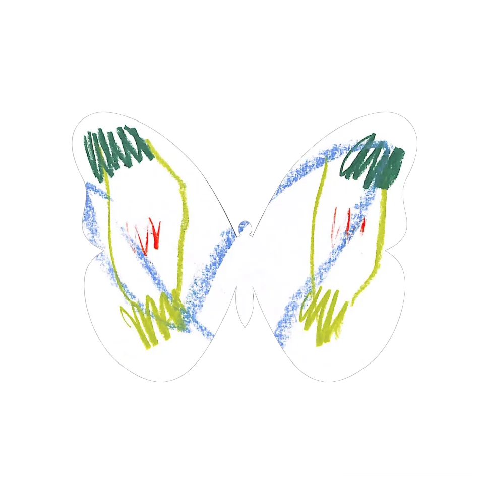 Original Butterfly Image