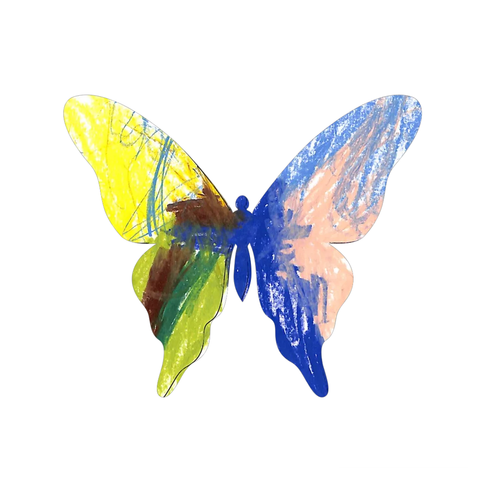Original Butterfly Image