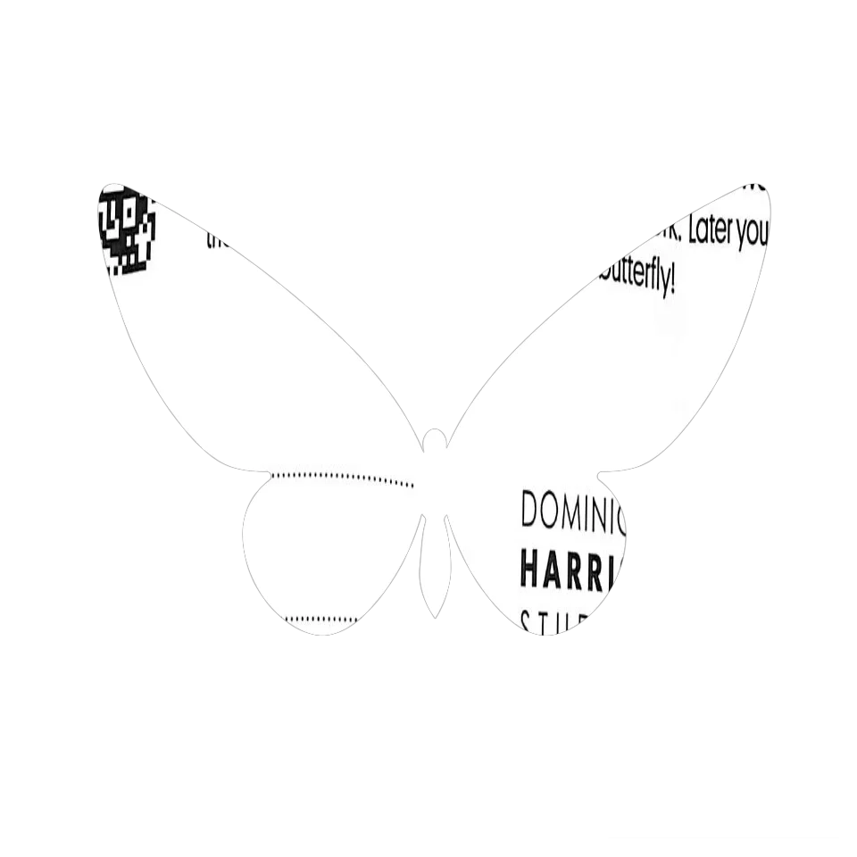 Original Butterfly Image