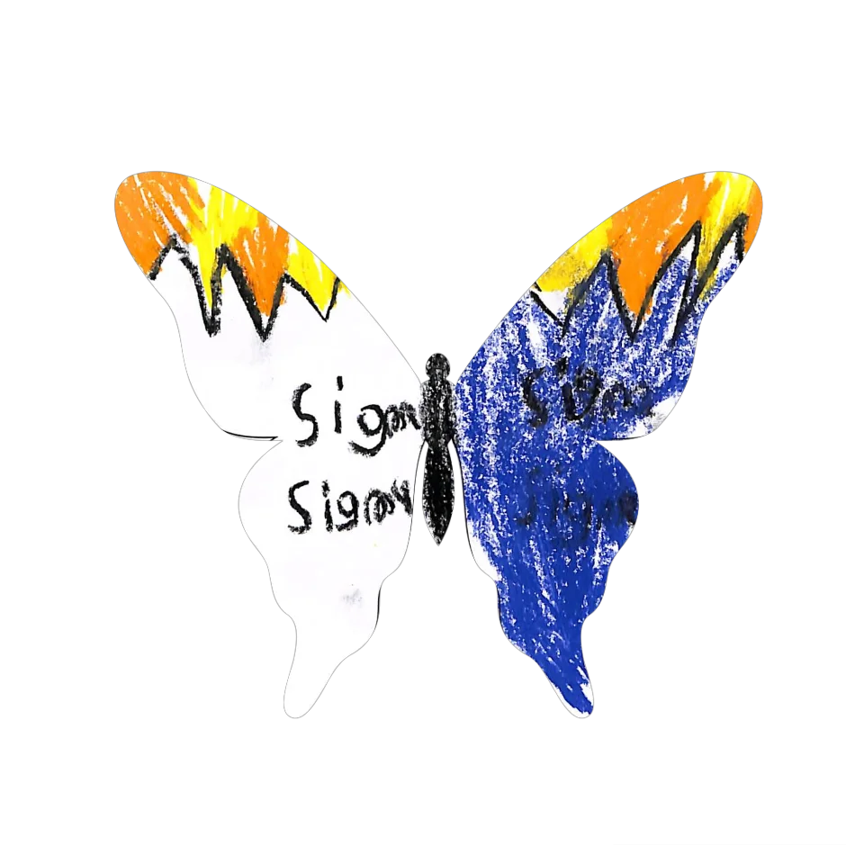 Original Butterfly Image
