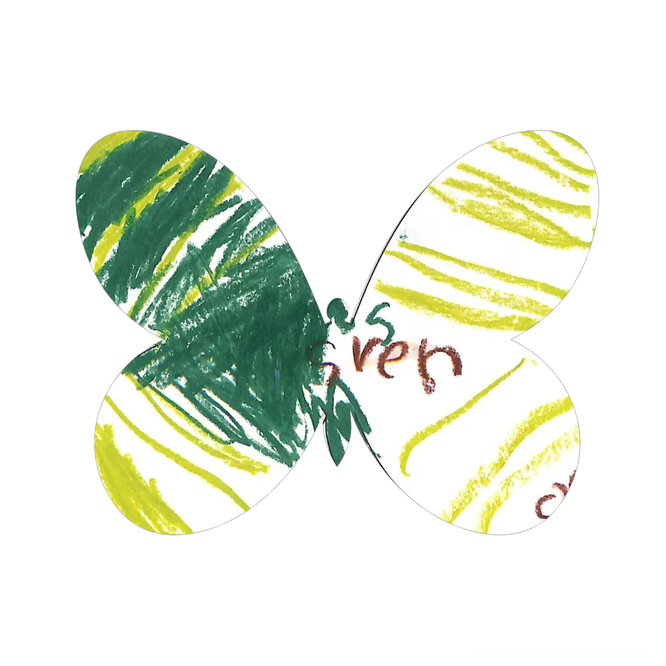 Original Butterfly Image