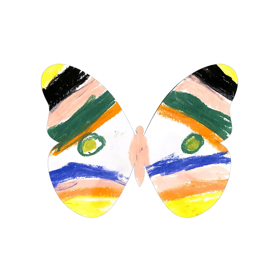 Original Butterfly Image