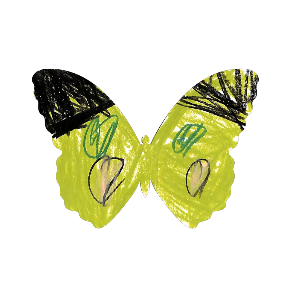 Original Butterfly Image
