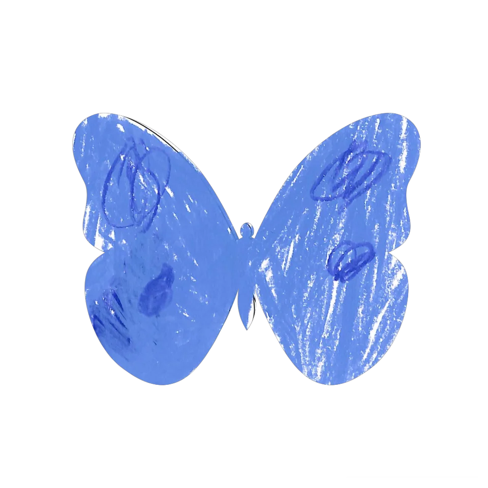 Original Butterfly Image