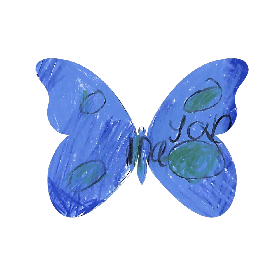 Original Butterfly Image