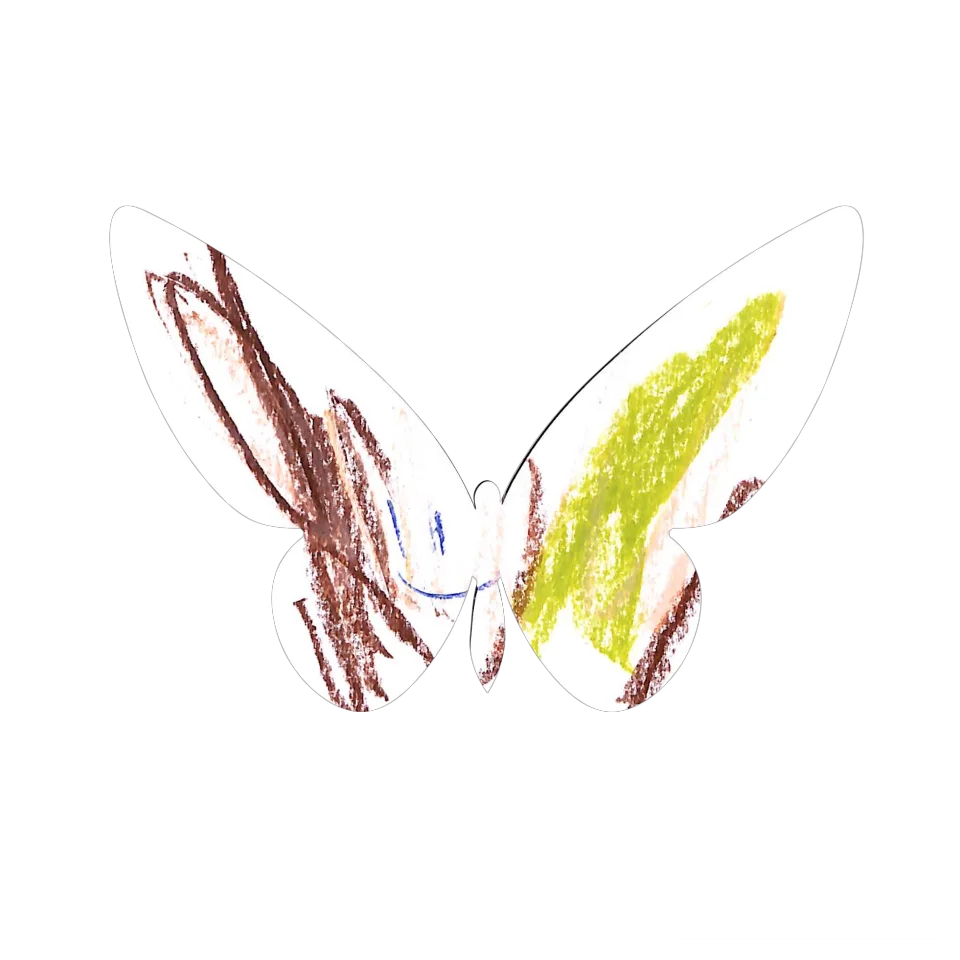 Original Butterfly Image