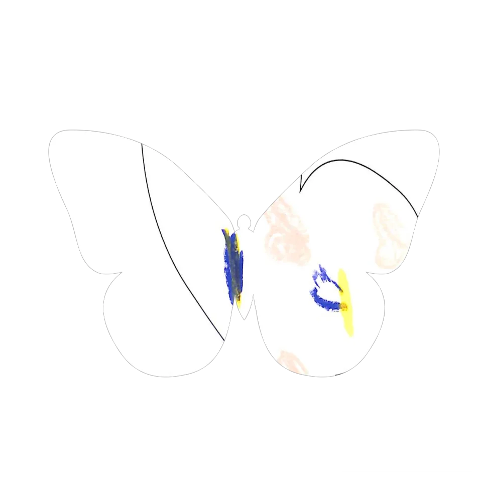 Original Butterfly Image