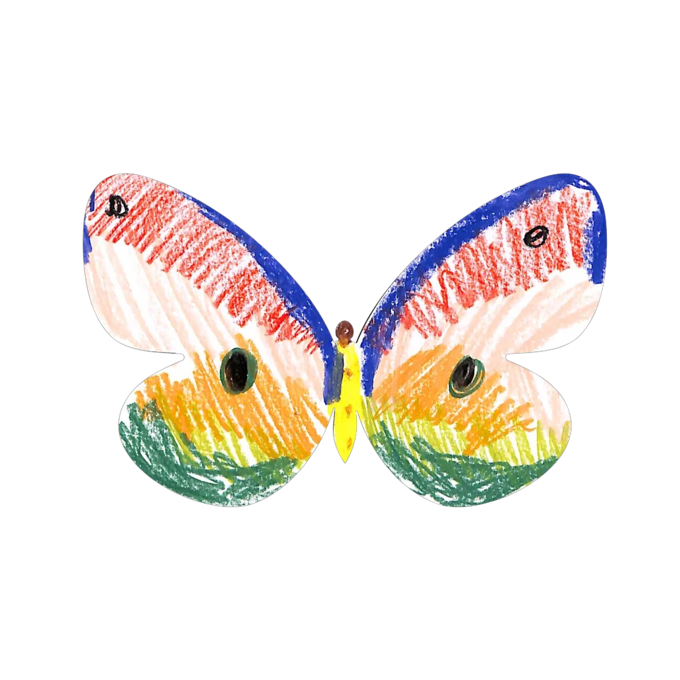 Original Butterfly Image