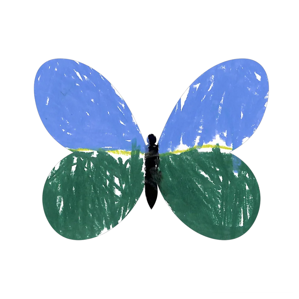 Original Butterfly Image