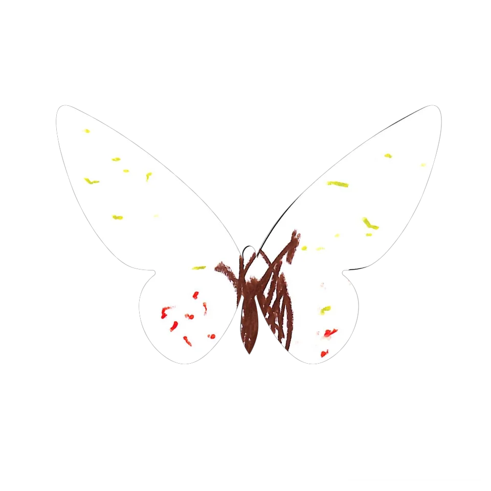 Original Butterfly Image