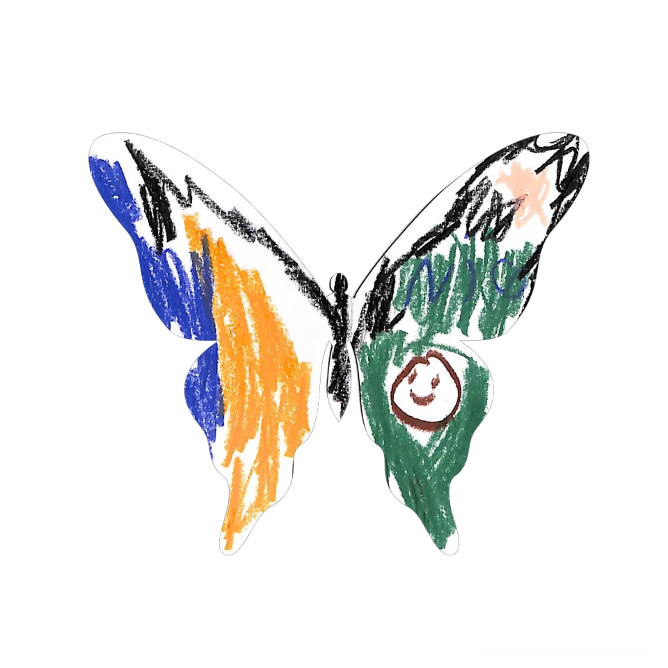 Original Butterfly Image