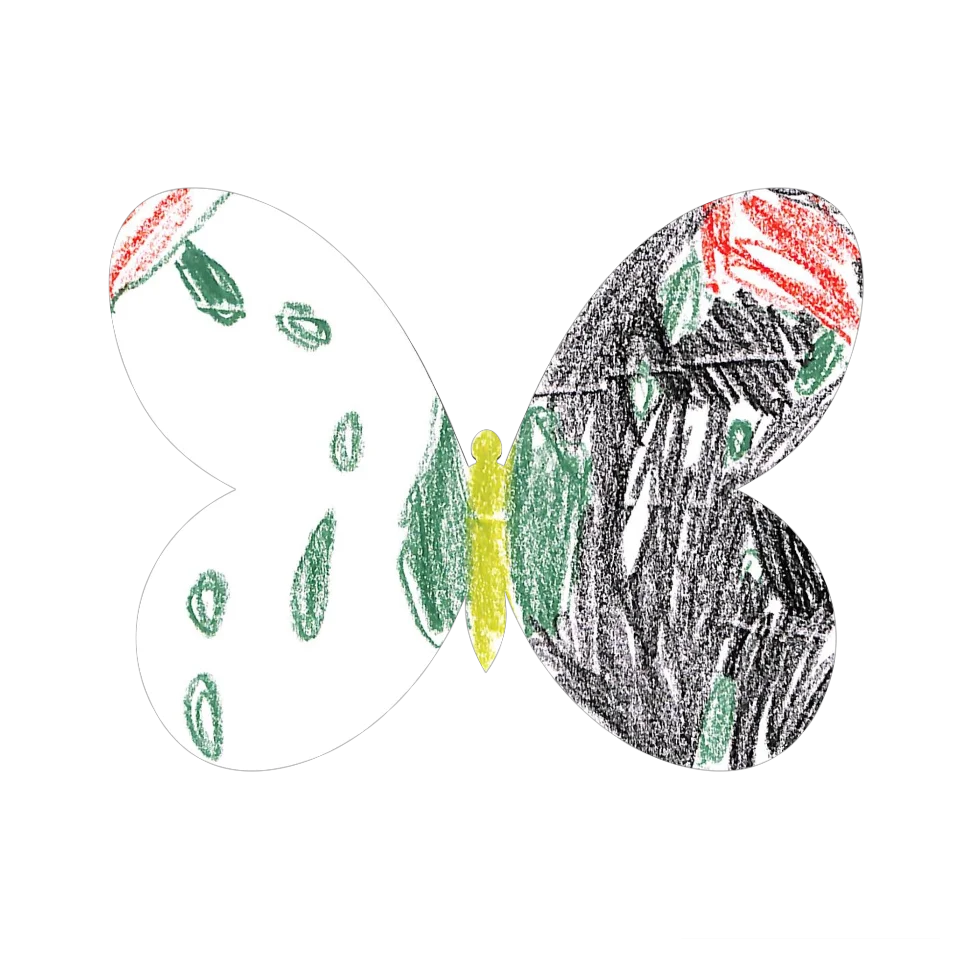 Original Butterfly Image