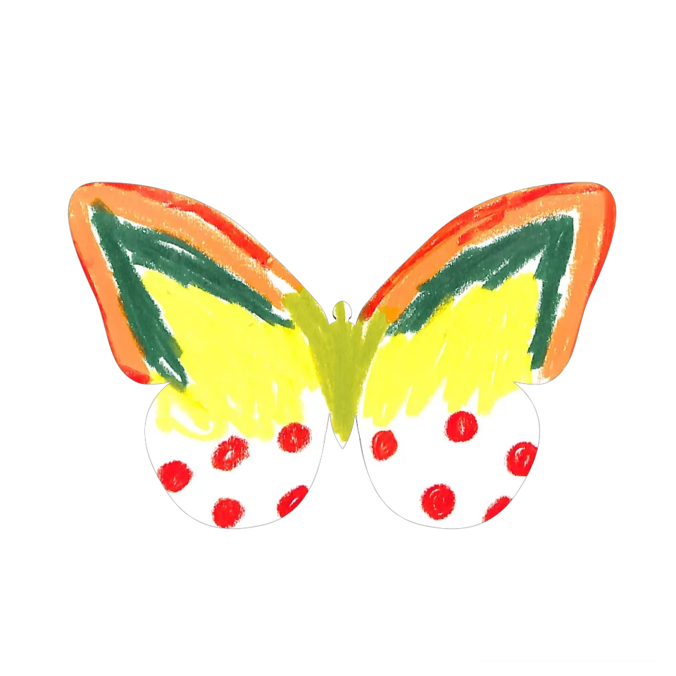 Original Butterfly Image