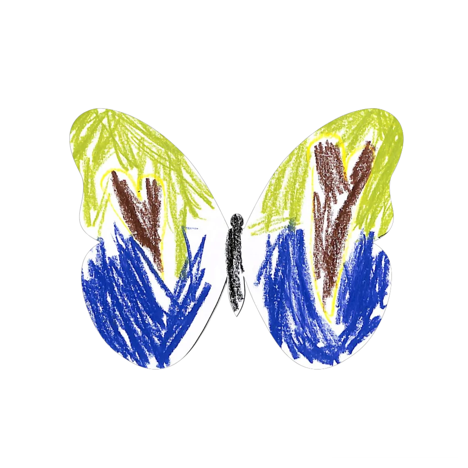 Original Butterfly Image