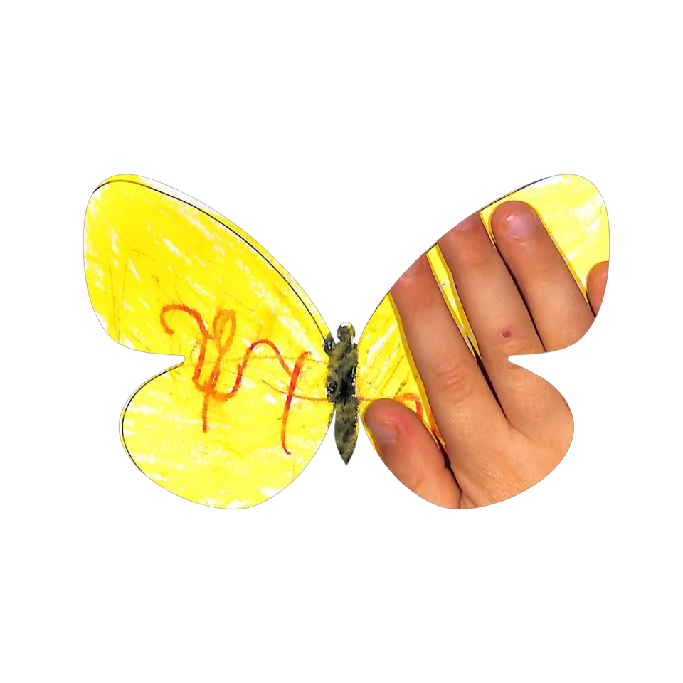 Original Butterfly Image
