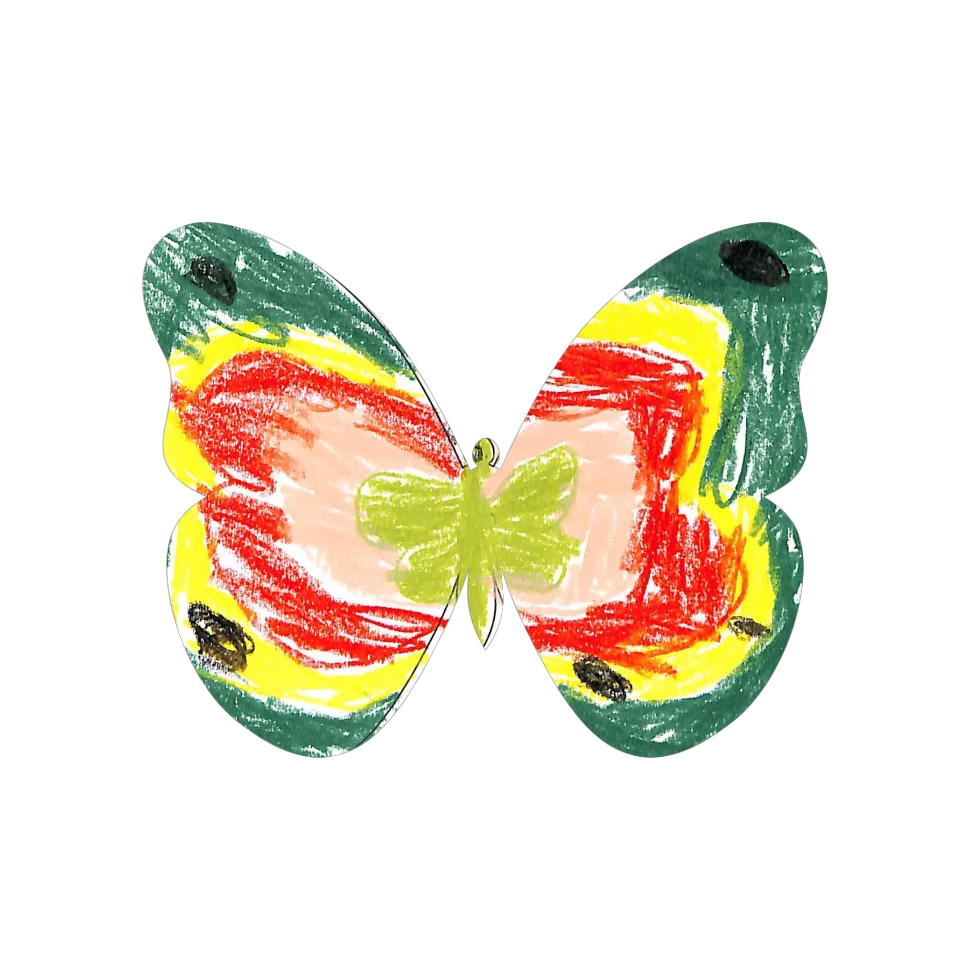 Original Butterfly Image