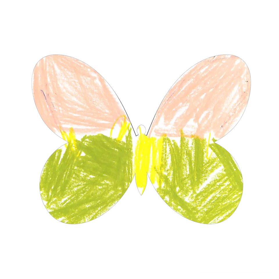 Original Butterfly Image