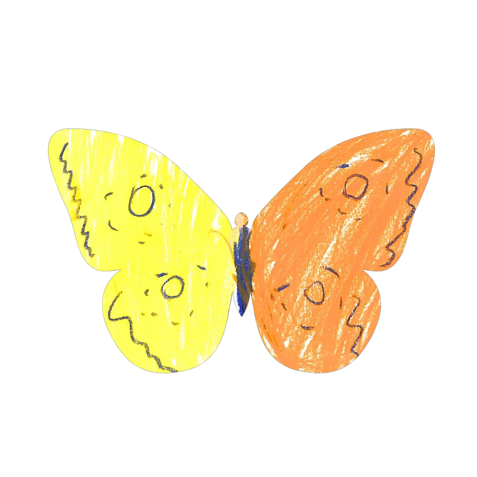 Original Butterfly Image