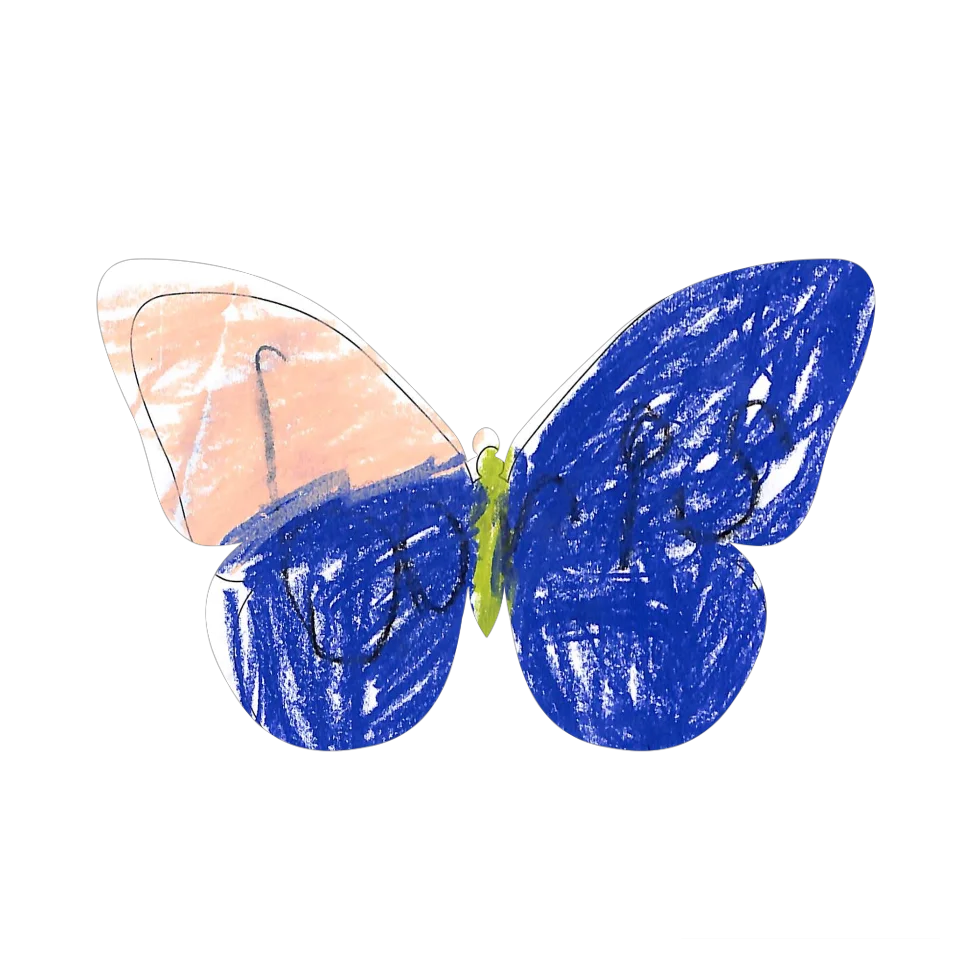Original Butterfly Image