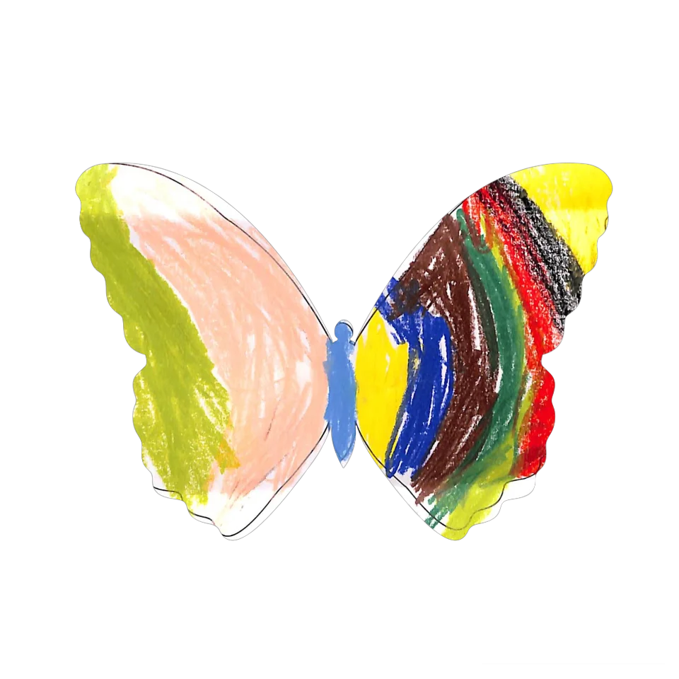 Original Butterfly Image