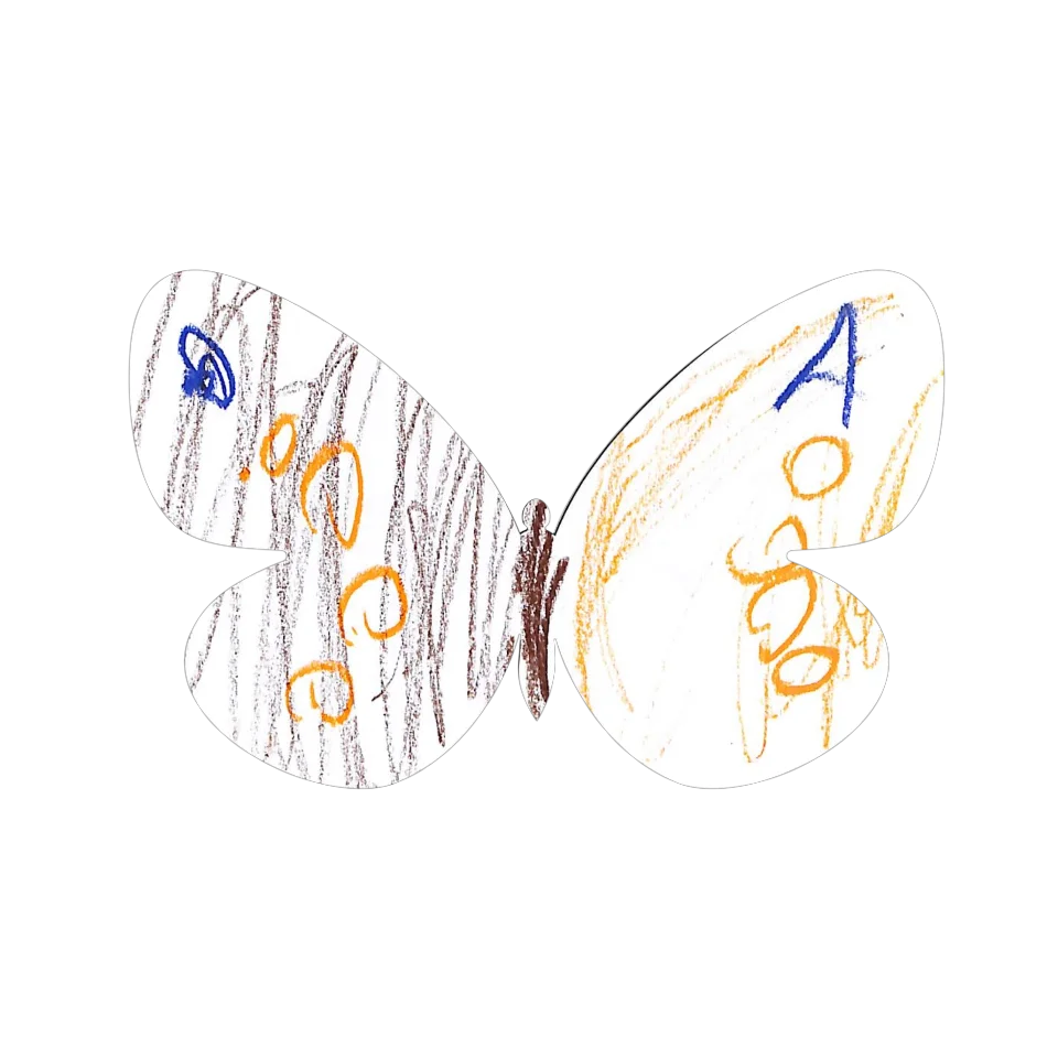Original Butterfly Image