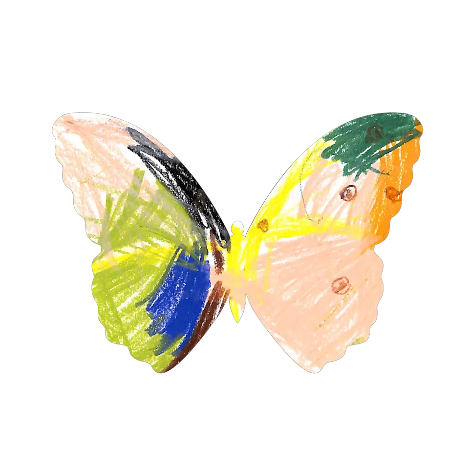 Original Butterfly Image